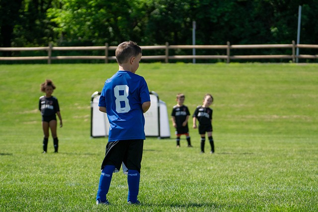 的各種挑戰 的各種挑戰