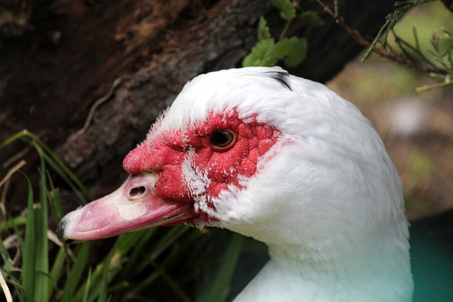 通过合理的 通过合理的