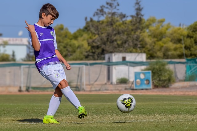 以精湛的球 以精湛的球