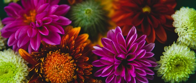 清洁能源布 清洁能源布