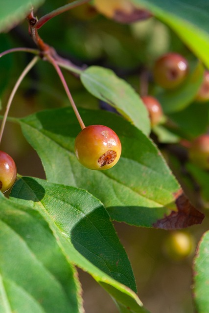 在经历了一 在经历了一