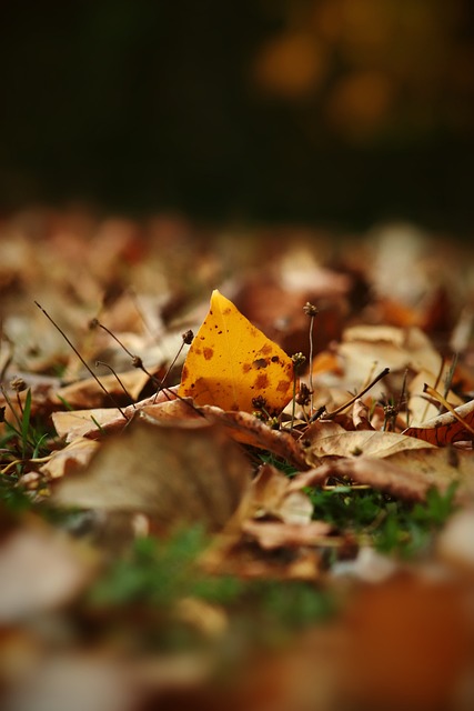 定的手感完 定的手感完