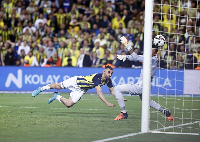 仅彰显了火 仅彰显了火