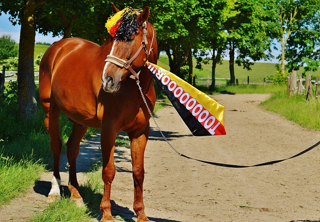 倾向于投入 倾向于投入