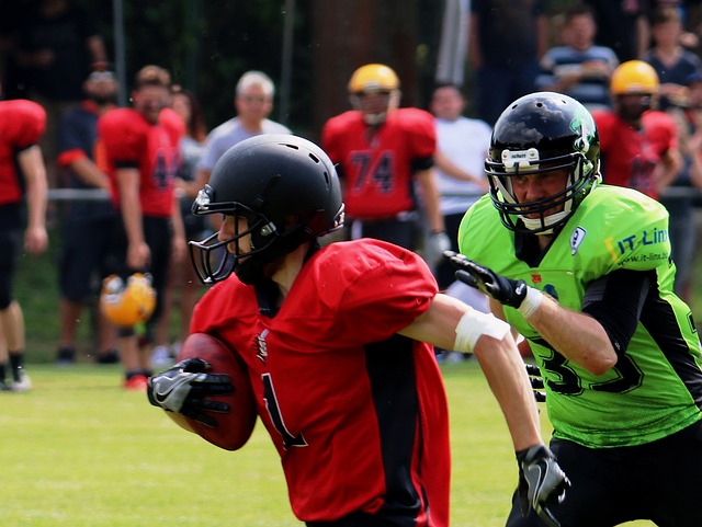 多民族的和 多民族的和