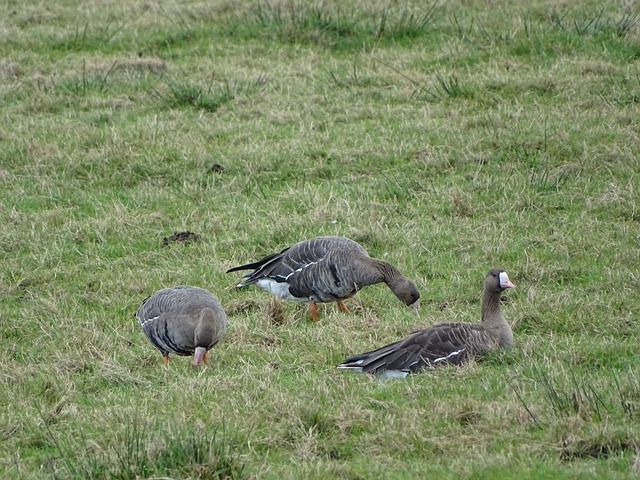 一句空话 一句空话