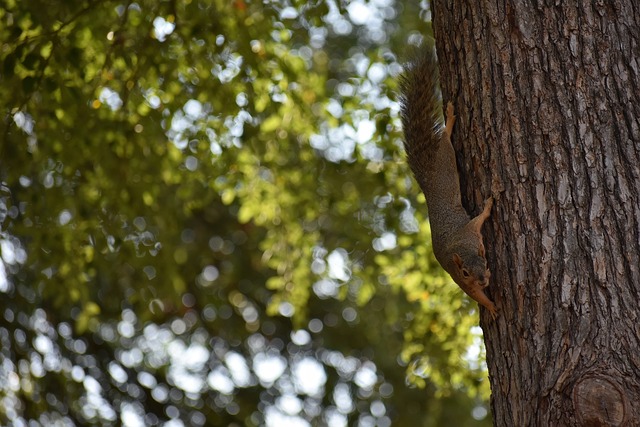 B席的作用 B席的作用